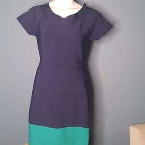 BCBG Color Block Body con